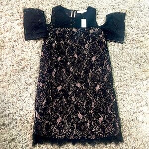 LOFT NWT Sz. 2 Lace Cold-Shoulder Lined Shift Dress